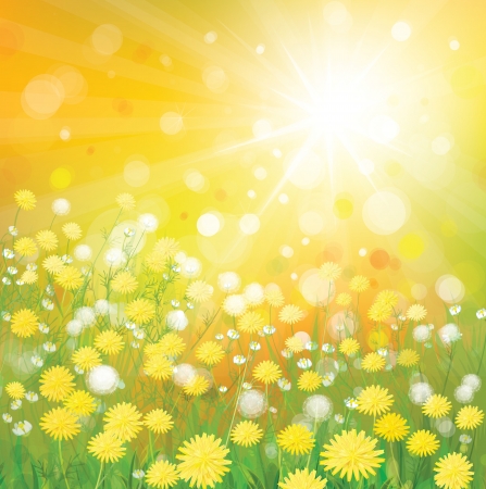 Vector of sky background with yellow dandelions のイラスト素材