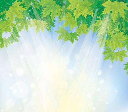 Vector of green leaves on blue sky background  のイラスト素材