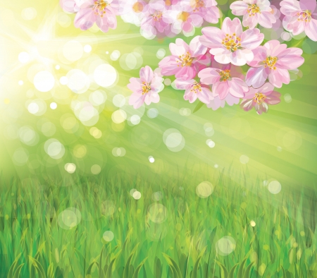Vector of spring blossoming tree on green background のイラスト素材