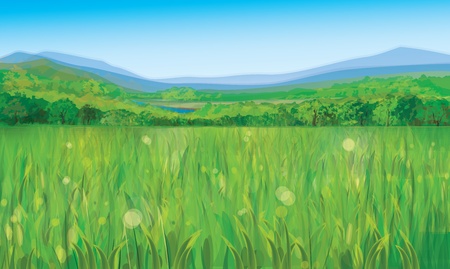 Vector of summer landscapeのイラスト素材