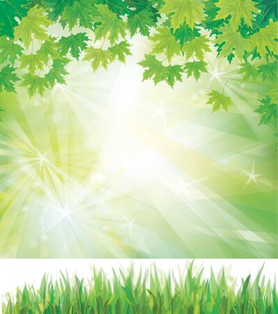 Vector of green leaves on background and grassのイラスト素材