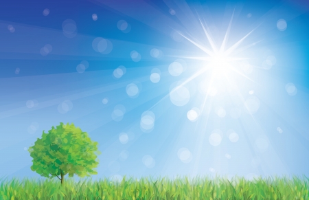 summer landscape のイラスト素材