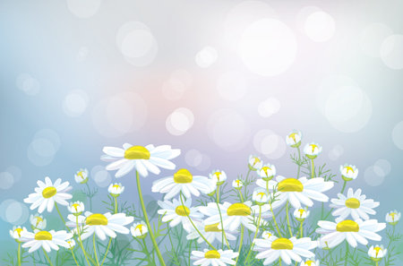 Vector of spring backgroundのイラスト素材