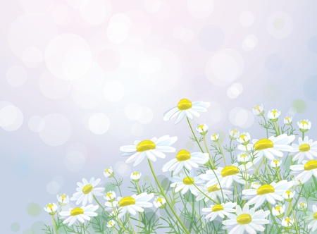 Vector of spring backgroundのイラスト素材