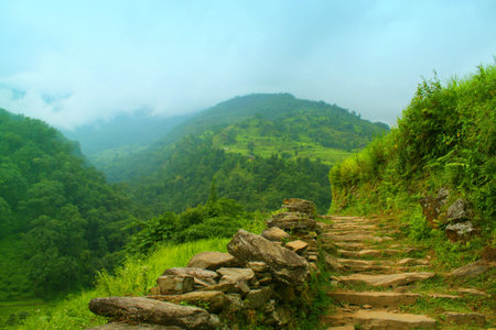 Beautiful  Himalaya landscape with pathway