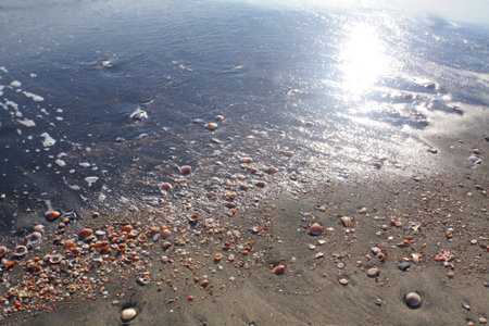 Sunset   on sand beach