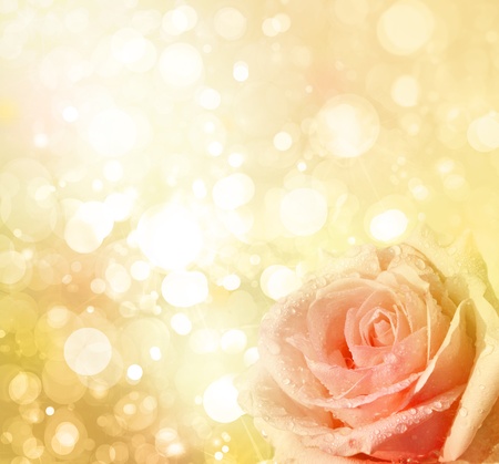 Golden backgroundの写真素材