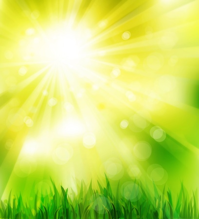 Sunny sky background with grass for spring designの写真素材