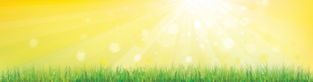 Sunny sky background with grass のイラスト素材