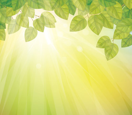 Vector of green leaves on sunny sky background のイラスト素材