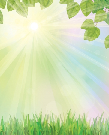 Vector of spring background with grass and leaves のイラスト素材