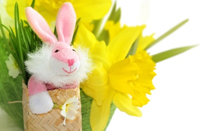 Cute  pink bunny with yellow daffodil flowers for Easter and spring design の写真素材