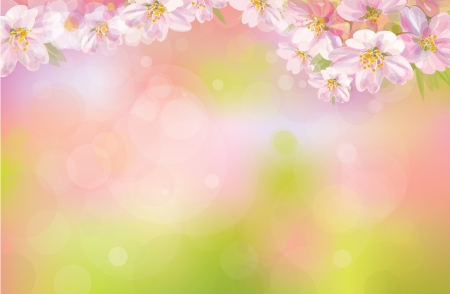 Vector of spring background.のイラスト素材