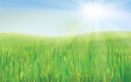 Vector spring background, blue sky and green grass.のイラスト素材