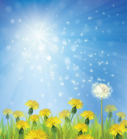 Vector of spring background with dandelions. のイラスト素材