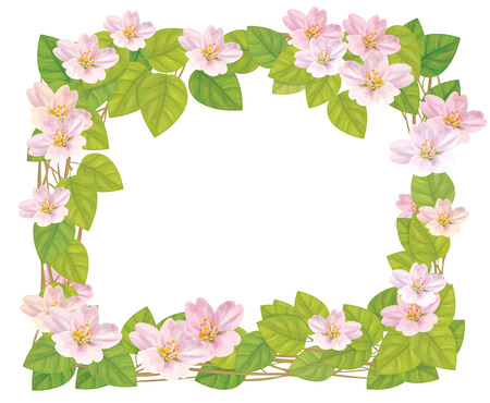 Vector floral frame のイラスト素材