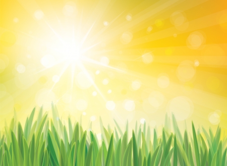 Vector sunshine background with grass.のイラスト素材