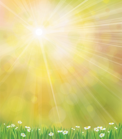 Vector sunshine background  with grass and chamomiles.のイラスト素材