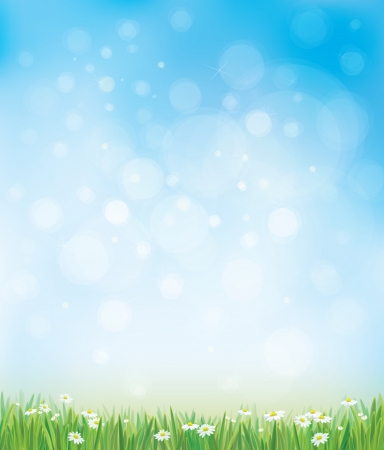 Vector sky background with grass and chamomiles. のイラスト素材