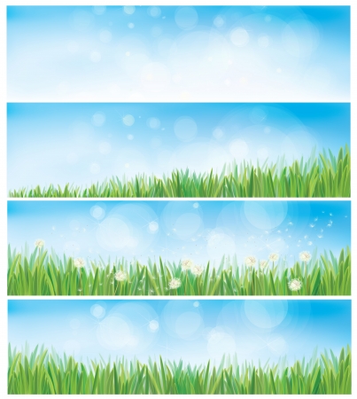 Vector nature backgrounds with sky, grass and dandelions.のイラスト素材
