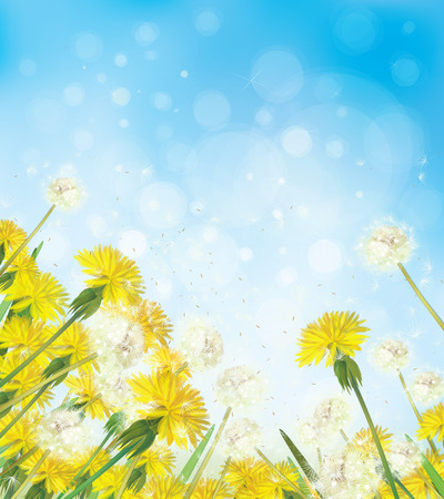 Vector dandelions on sky background.のイラスト素材