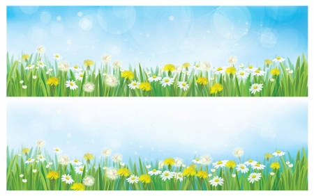 Vector nature  spring backgrounds. のイラスト素材