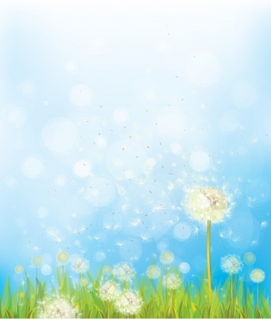 Vector nature background with dandelions.のイラスト素材