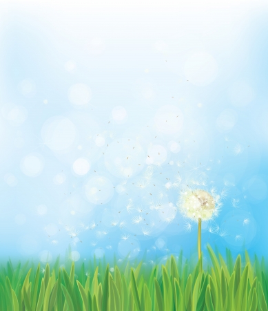 Vector dandelion on spring  background.のイラスト素材