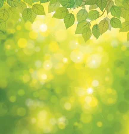 Vector green leaves on sunshine background のイラスト素材