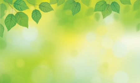 Vector green leaves  branches on sunshine background のイラスト素材