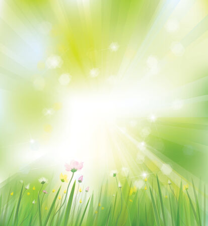 Vector spring background のイラスト素材