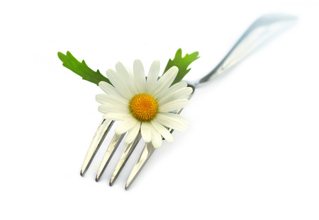Fork with chamomile flower の写真素材