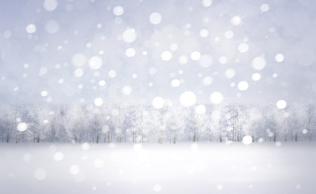 Winter snow landscape.の写真素材