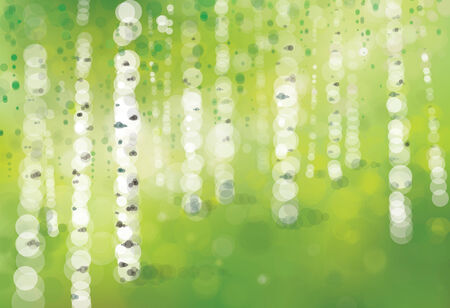 Vector spring  birches forest, bokeh background.のイラスト素材