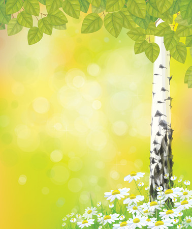 Vector green birchのイラスト素材