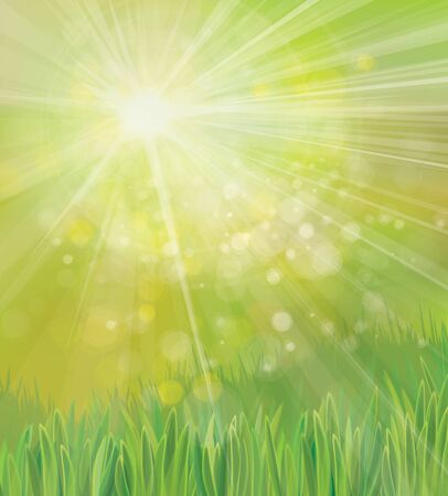Vector spring  nature background.のイラスト素材