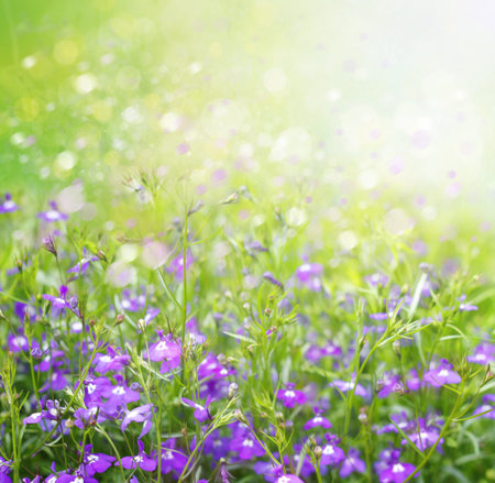 Spring floral background.