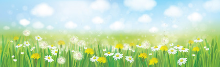 Vector nature  spring background.のイラスト素材