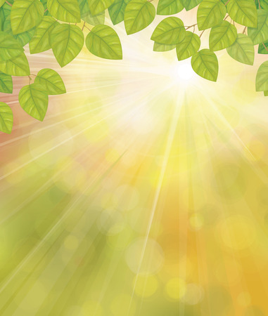 Vector green birch's leaves on sunshine background.のイラスト素材