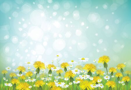 Vector spring background with chamomiles and dandelions.のイラスト素材