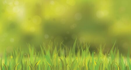 Vector sunny spring background with grass.のイラスト素材