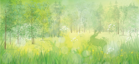 rabbits in grass, spring  forest background.のイラスト素材