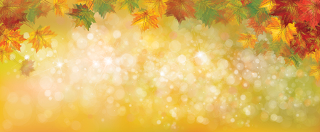 Vector autumnal leaves on bokeh background, blurred effect.のイラスト素材