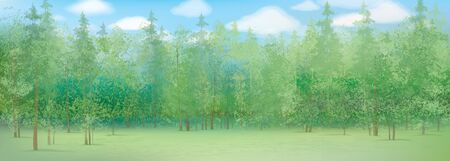 summer landscape with forest backgroundのイラスト素材