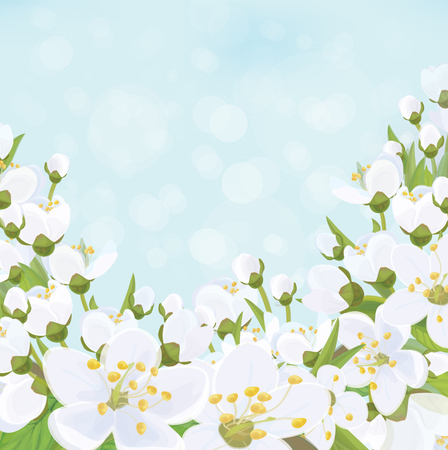 Vector spring blossoming tree background.のイラスト素材