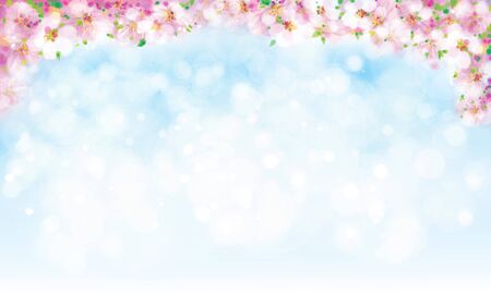 Blossoming sakura tree border on sky bokeh background.のイラスト素材