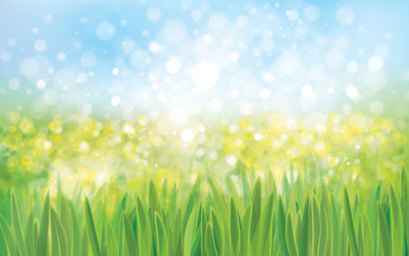 Vector green grass bokeh, nature background.のイラスト素材