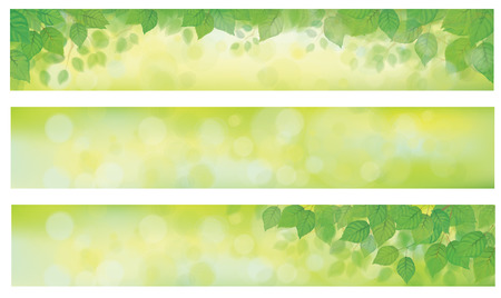 Vector green leaves on  spring, bokeh banners.のイラスト素材