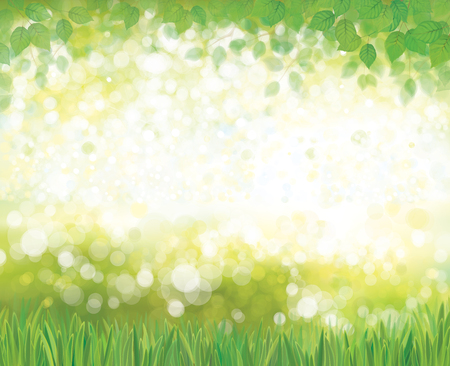 Vector summer nature  background.のイラスト素材