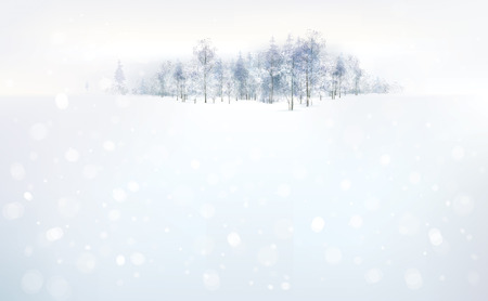 Vector winter forest background.のイラスト素材